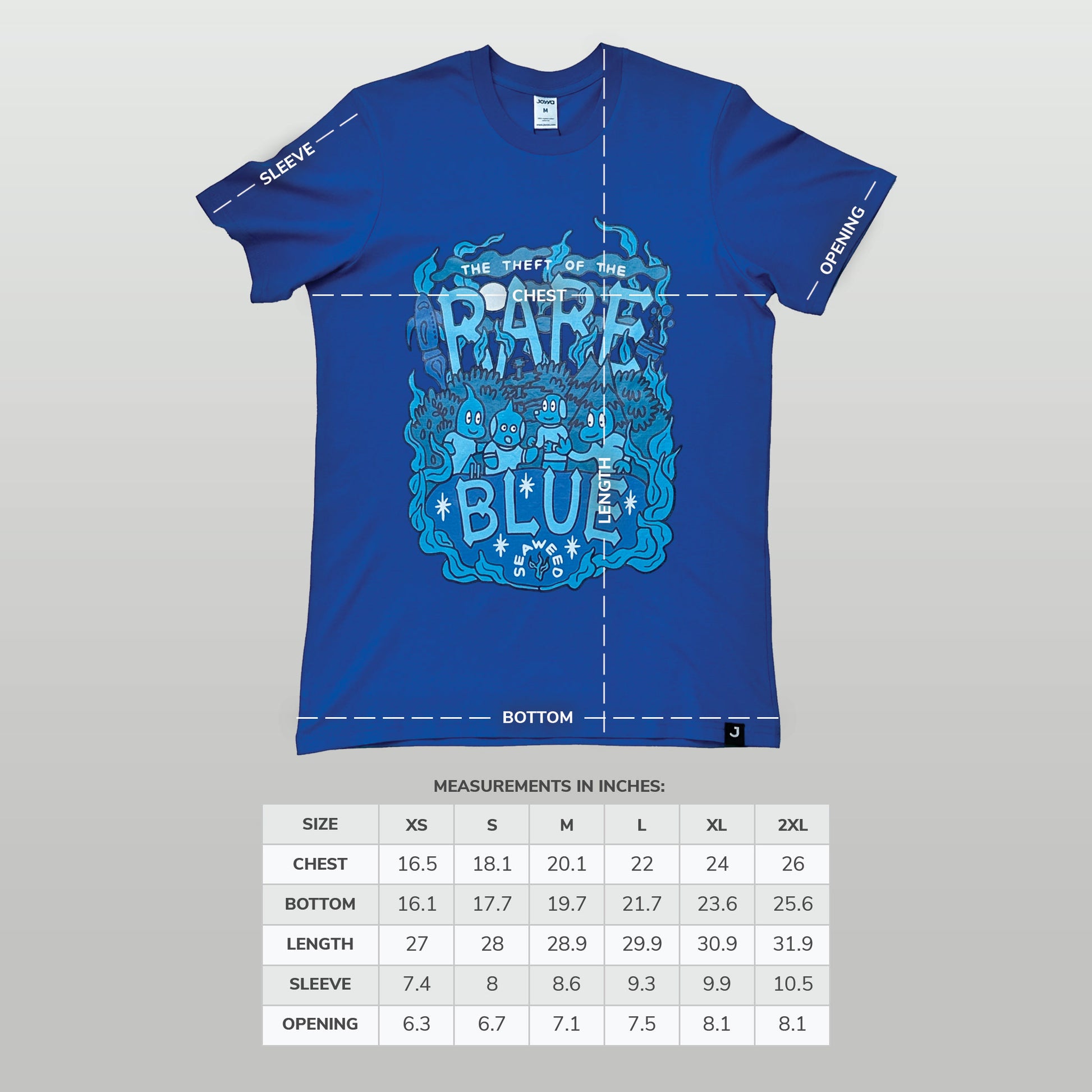 Size chart for the Rare Blue Seaweed t-shirt in inches
